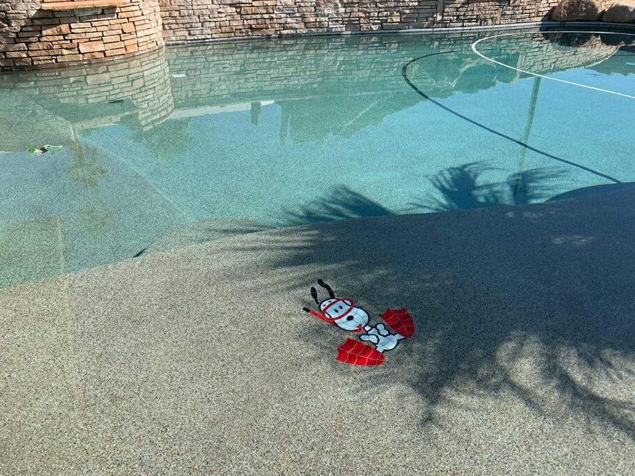 Ultimate Backyard-Pool/Spa. Slide. Lakeview. Ball Lake Havasu City Exterior foto